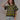 Sweater Tee - Malachite Bauhaus Short Sleeve