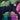 Colour Revolution Victorian Art, Fashion & Design
