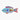 Parrotfish
