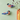 Finches