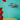 Parrotfish