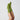 Moss Socks