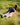 model lays in a grassy field with a lilac print silk scarf in pink