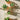 Small terracotta pots with plants on a light wood background. 