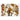 Open book displaying a collage of various mushrooms on a white background