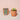 Small terracotta pots with plants on a light pink background. 