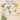 Hilma af Klint: What Stands Behind the Flowers