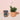 Small terracotta pots with plants on a light pink background. 