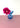 A blue vase with a flower on a pink surface with a white background