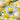 A colorful table setting of lemons and daffodils with a tin of lip balm on a green and white checkered cloth.