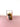 colorful pink and brown tumbler on a pink surface with a white background